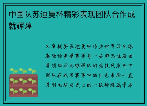 中国队苏迪曼杯精彩表现团队合作成就辉煌